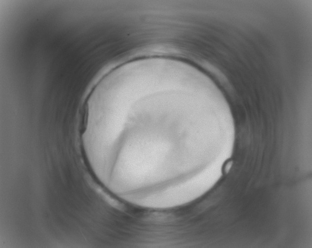 X0000081301374200702082033