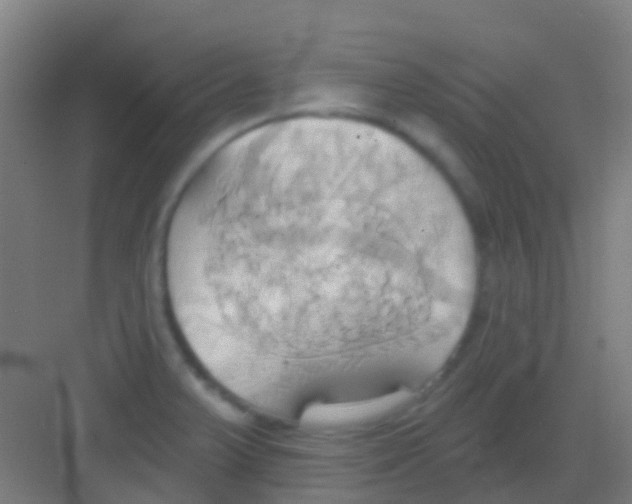 X0000081301375200702082033