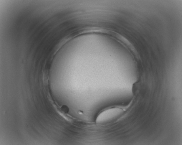 X0000081301377200702082033