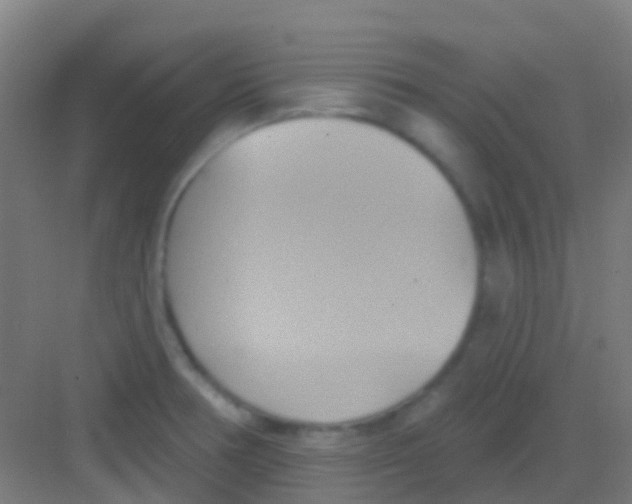 X0000081301378200702082033