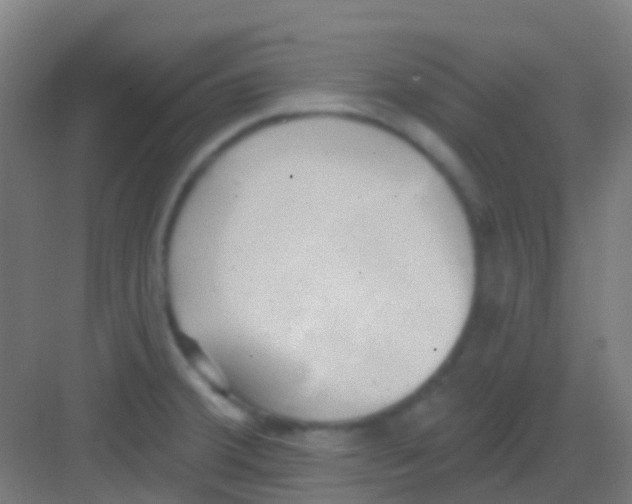 X0000081301380200702082033