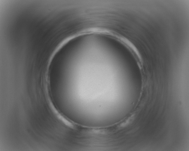 X0000081301381200702082033