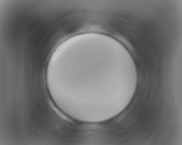 X0000081301382200702082033