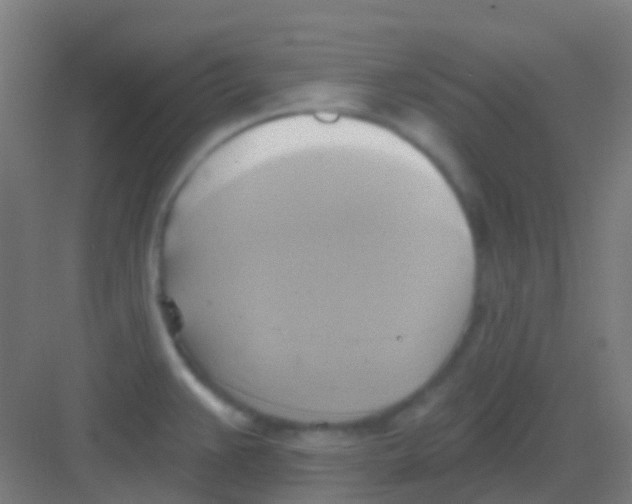 X0000081301383200702082033