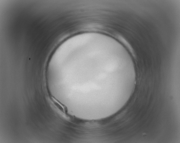 X0000081301384200702082033