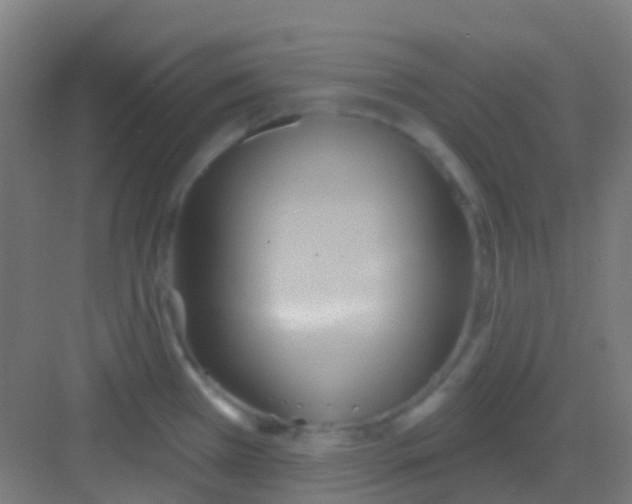 X0000081301385200702082033