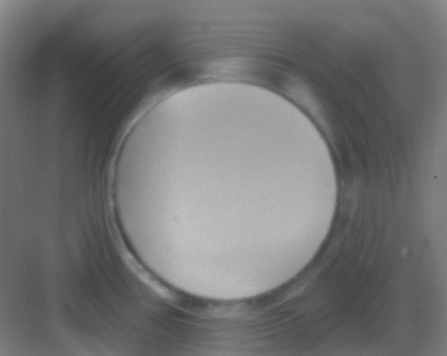 X0000081301386200702082033