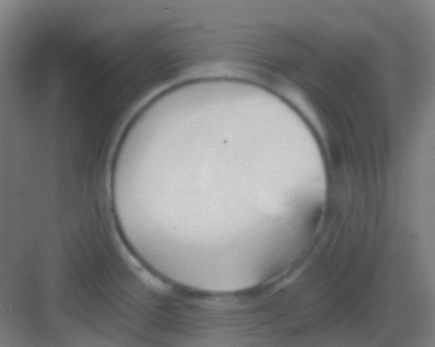 X0000081301388200702082033