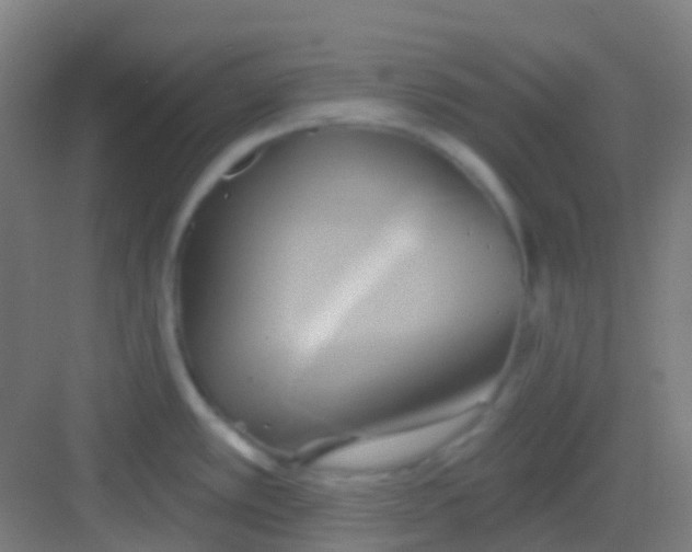 X0000081301389200702082033