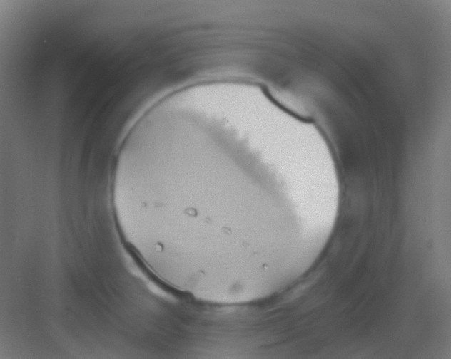 X0000081301390200702082033