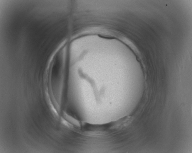 X0000081301392200702082033