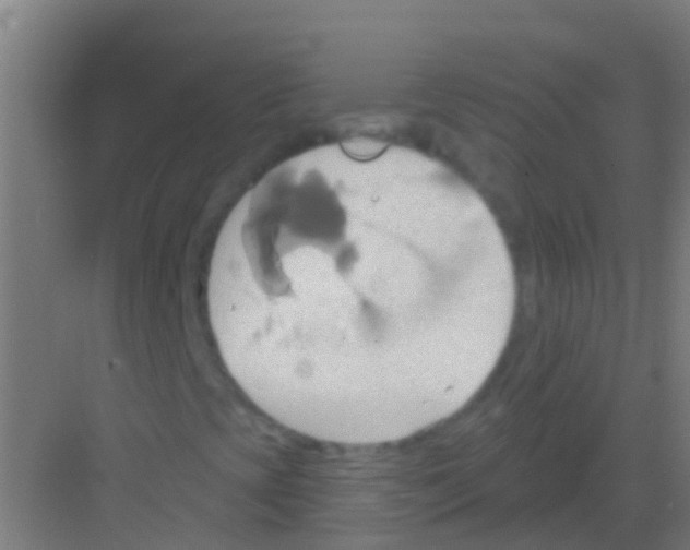 X0000081301393200702082032