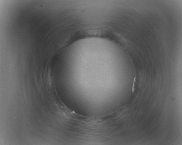 X0000081301394200702082032