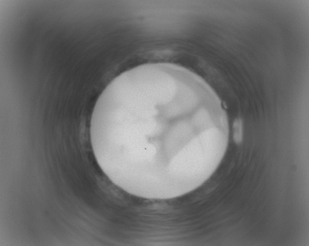 X0000081301395200702082032