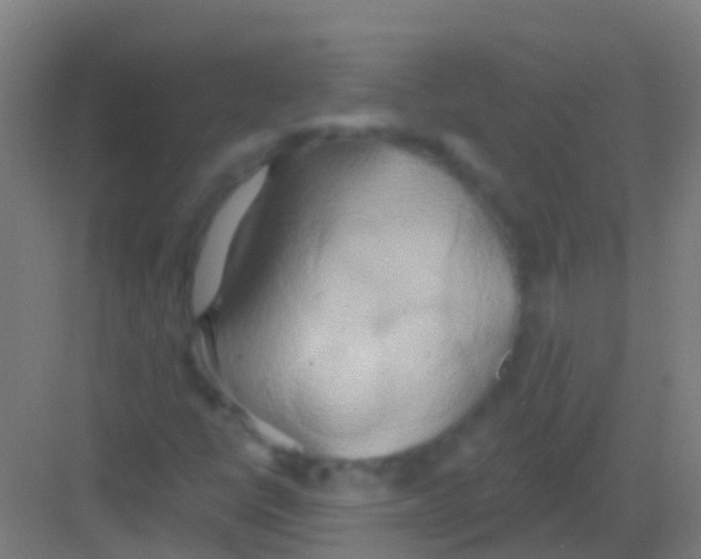 X0000081301398200702082032