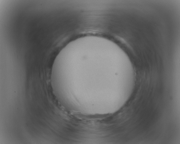 X0000081301399200702082032