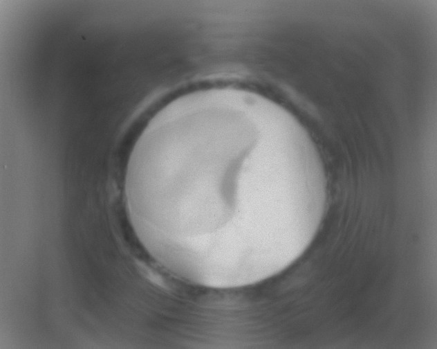 X0000081301400200702082032