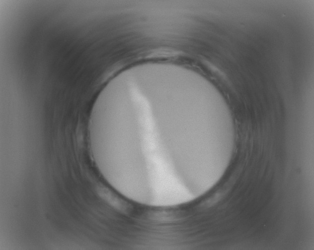 X0000081301401200702082032