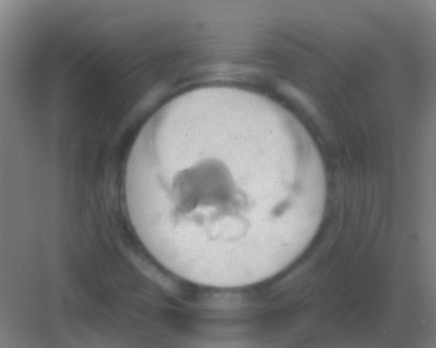 X0000081301403200702082032