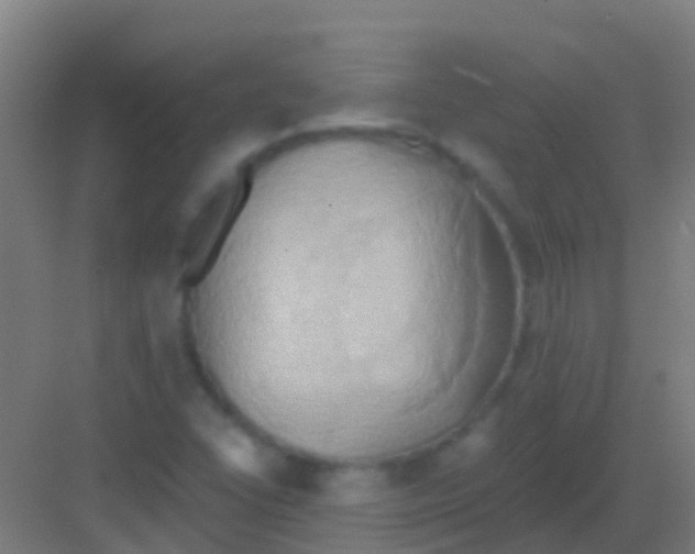 X0000081301406200702082032