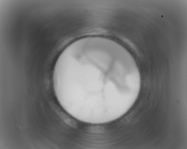 X0000081301407200702082032