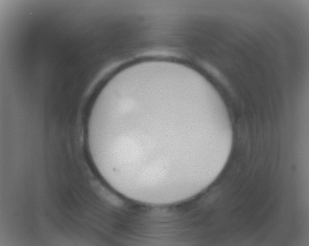 X0000081301408200702082032