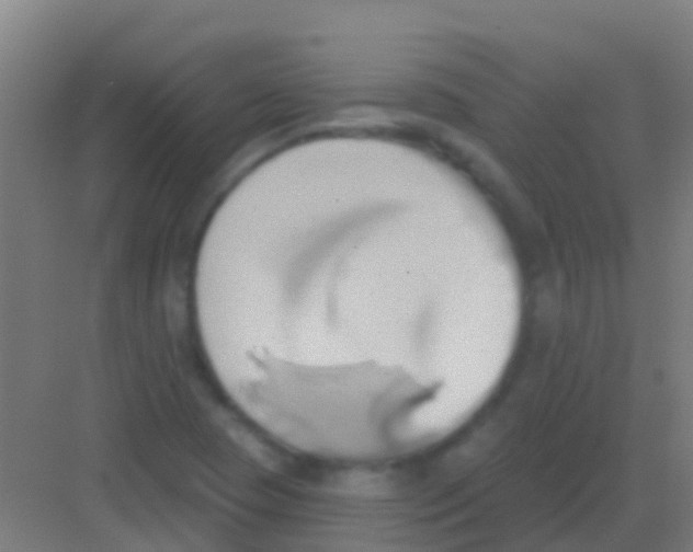 X0000081301409200702082032