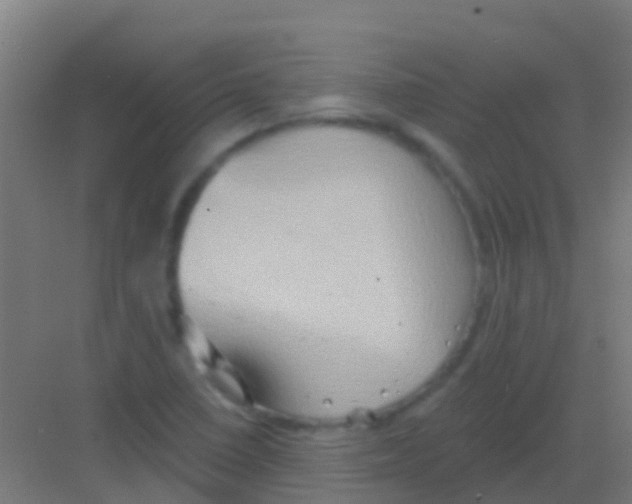 X0000081301410200702082032