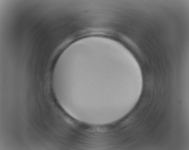 X0000081301411200702082032