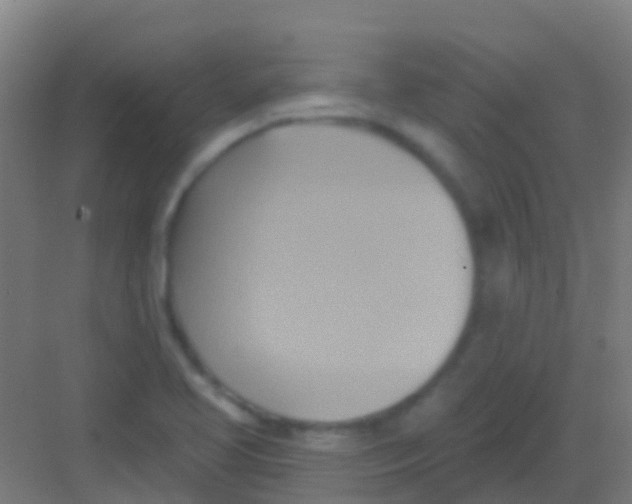 X0000081301413200702082032