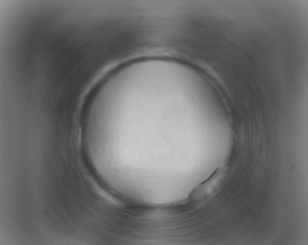 X0000081301414200702082032