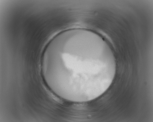 X0000081301415200702082033