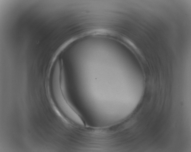 X0000081301418200702082033