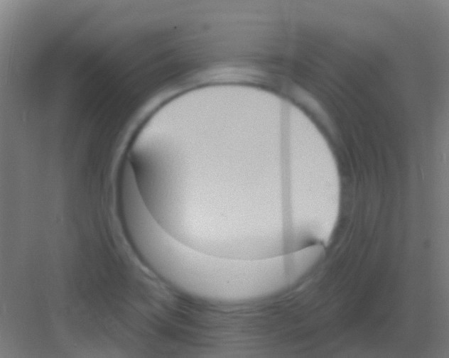 X0000081301419200702082033