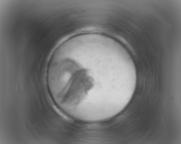 X0000081301421200702082033