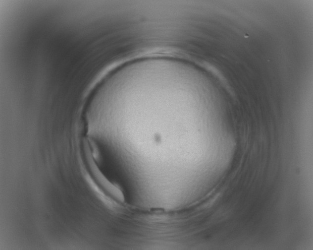 X0000081301422200702082033