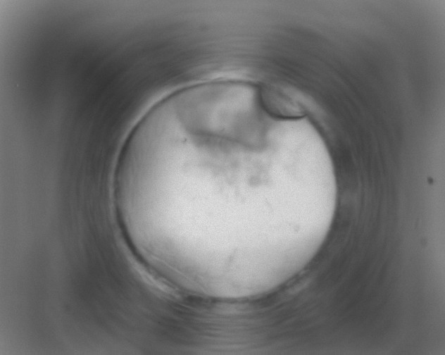 X0000081301423200702082033