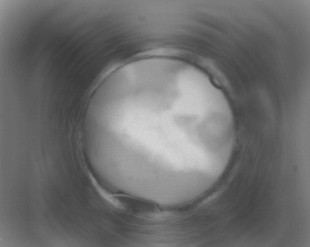 X0000081301425200702082033