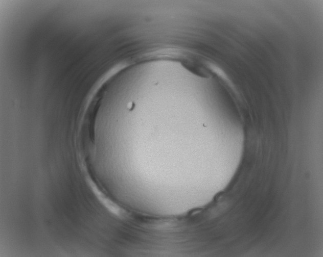 X0000081301426200702082033