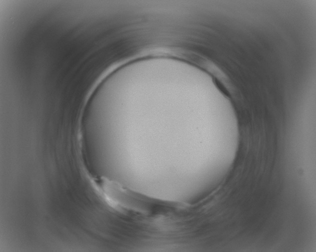 X0000081301428200702082033