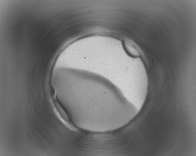 X0000081301429200702082033