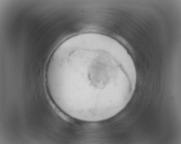 X0000081301431200702082033