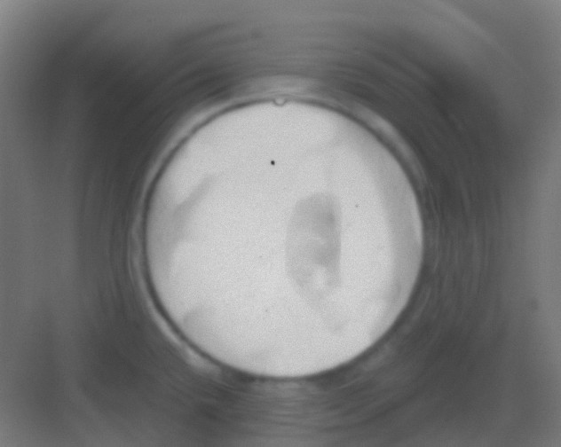 X0000081301432200702082033