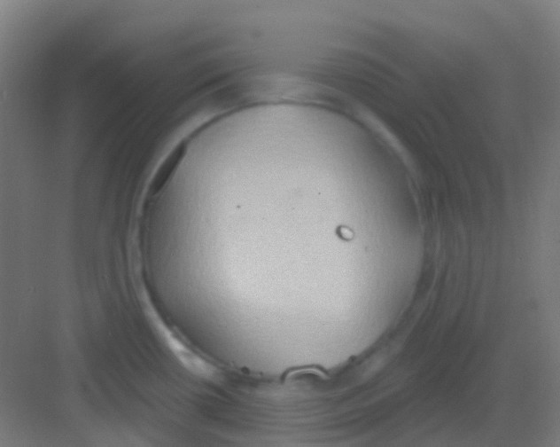 X0000081301434200702082033