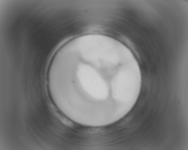 X0000081301435200702082033