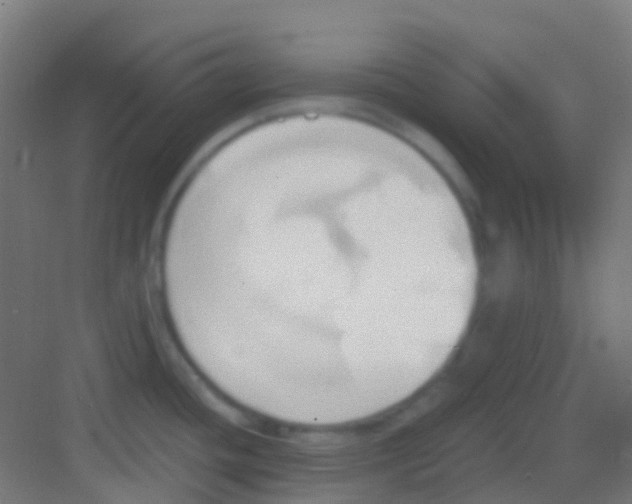 X0000081301436200702082033