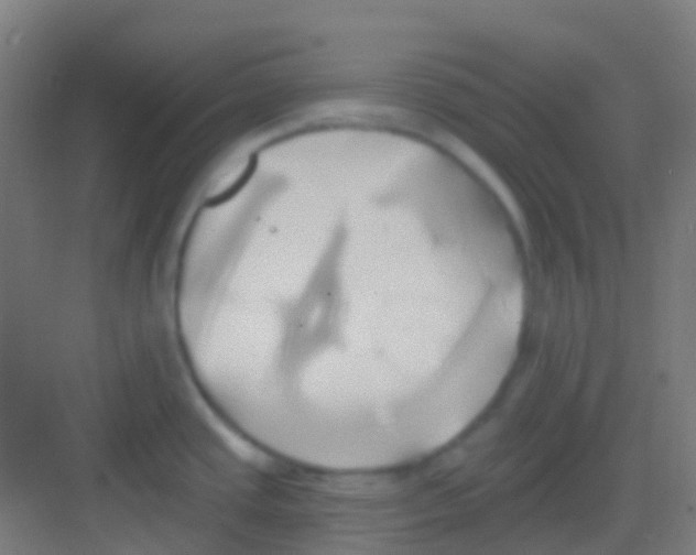 X0000081301437200702082033