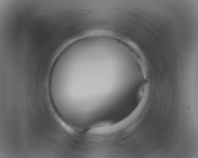 X0000081301438200702082033