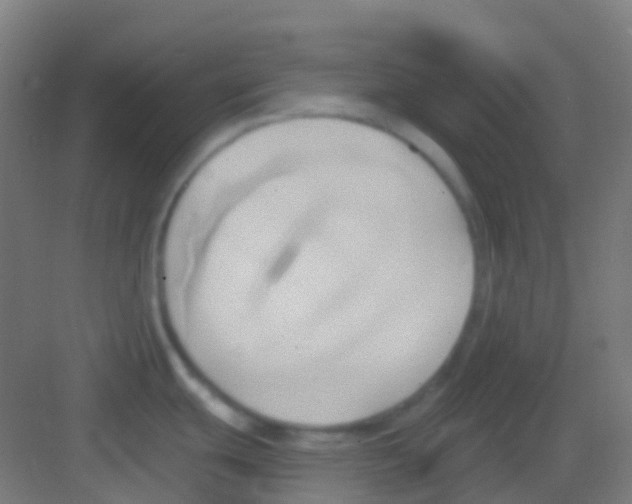 X0000081301439200702082033