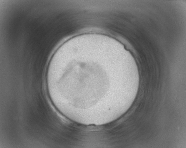 X0000081301440200702082033